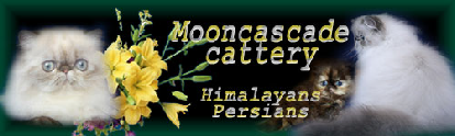 mooncascade