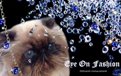 Eye On Fashion