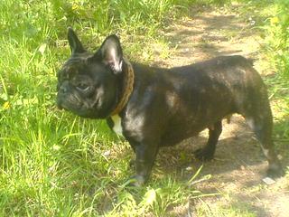 konty